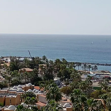 Your Private Ocean View Playa de las Americas (Tenerife)